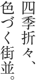 四季折々、色づく街並。