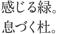 感じる緑。息づく杜。